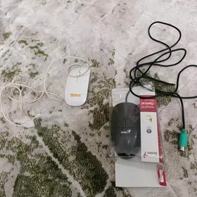 miska sycanjyk мышка
