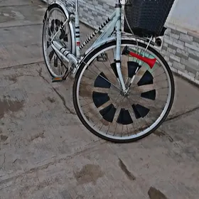 welik 27