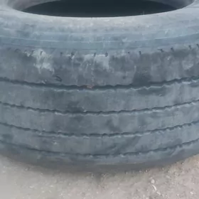 beskamyr  ayak 385.65.r22.5