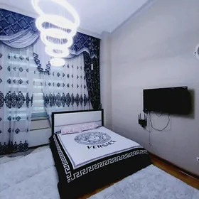 arenda jay  Mir 7