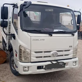 Forland H2 2018