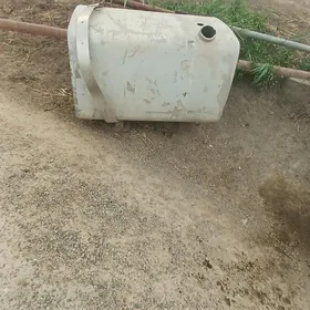 Bak