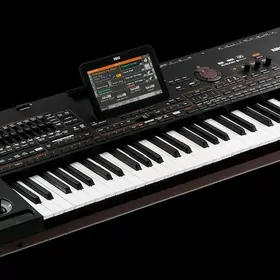 Korg