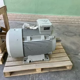 elektro dwigatel