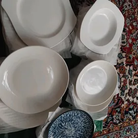 Taze pasudalar