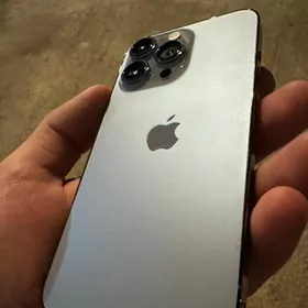 iphone 13pro