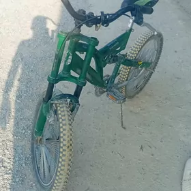 tigir