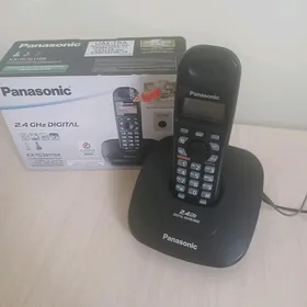 Damaşni