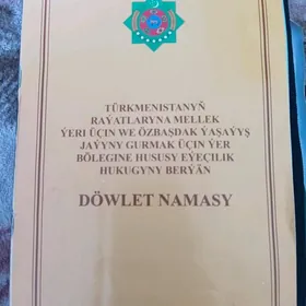 satlyk jaŷ