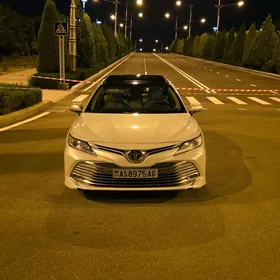 Toyota Camry 2019