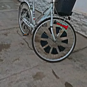 welik 27