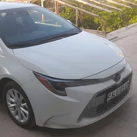 Toyota Corolla 2021