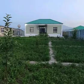 Gokdepe Sorgala jay