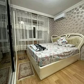 SATLYK JAY Mir 2