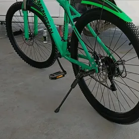 Turkmenistan tigir
