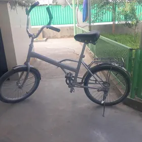 kana tigir