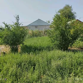 Daça Aýraport
