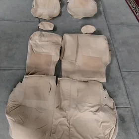 Tiida Çehol sidenya