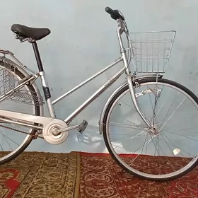 tigir ÿapoşka 27