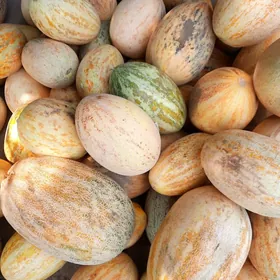 mallyk