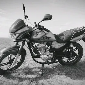 Honda Acura 2024
