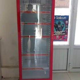 Holadinnik