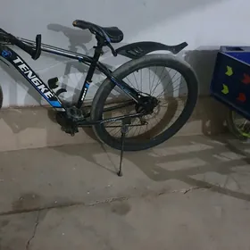spartiwni 29 admen
