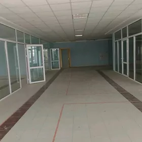 arenda yer