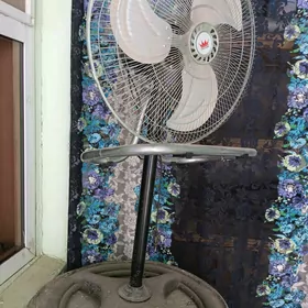 wintelyator