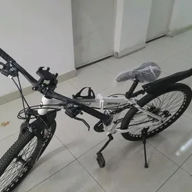 Bmw tigir