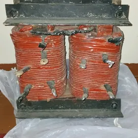 sarym tok köpeldilyan