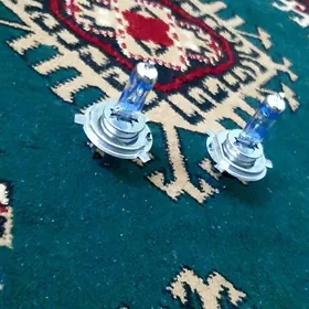 Lapa biluç
