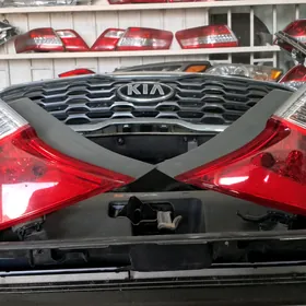 Palta camry stopnyk