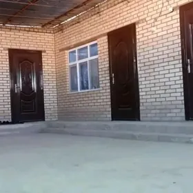 satlyk taze howly jay