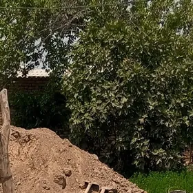 çig kerpic