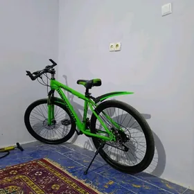 Turkmenistan tigir