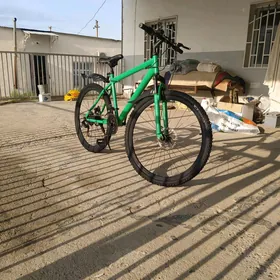 Turkmenistan welik