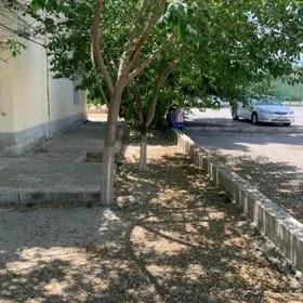 3 mkrn