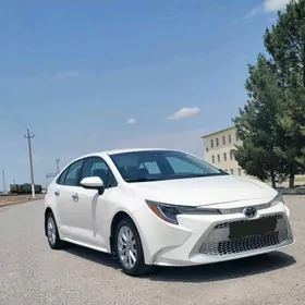Toyota Corolla 2020