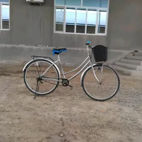 welisepet 26 lyk