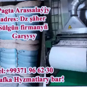 PAGTA ARASSALAYARYS