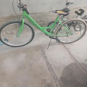 Turkmenistan tigir