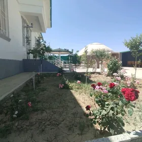 SATLYK OBMENTAZE ZAMAN PLAN