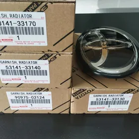 Embilemalar, Bsm Rx23