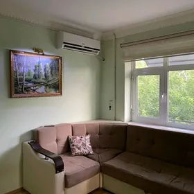 Arenda Şewcenko cynar Magazyn