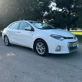 Toyota Corolla 2014