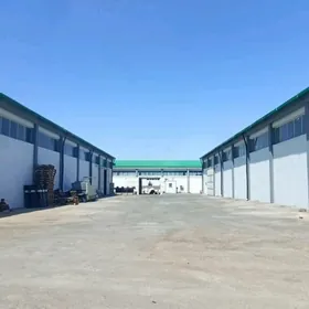 Arenda Ammar Promzonada