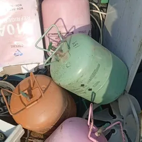 boçgo