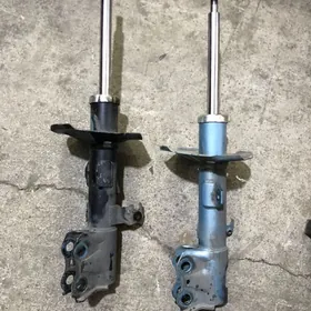 amastizator