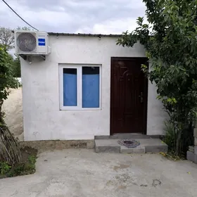 Täze konnat